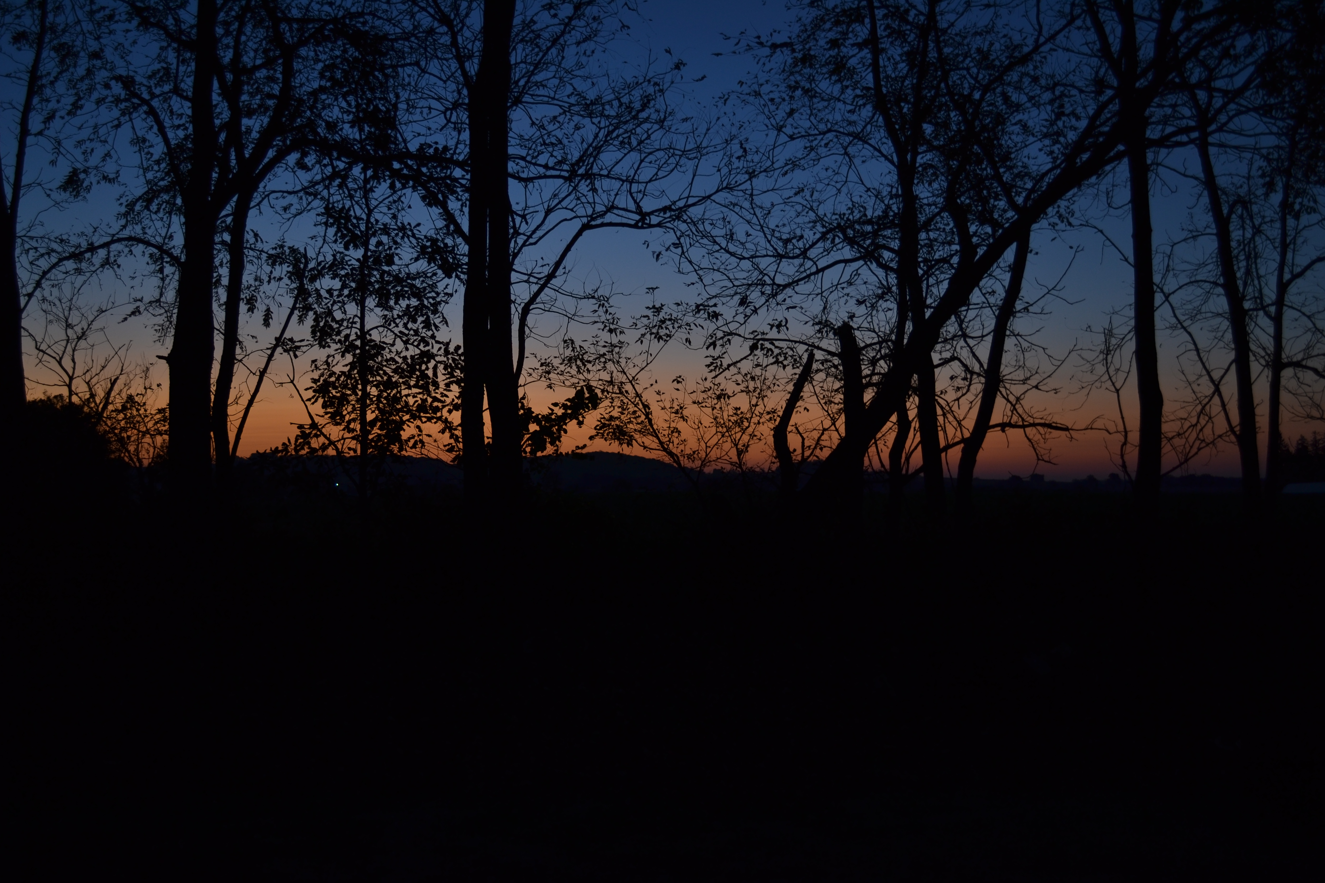 img/fun/Hunting/DSC_0565.JPG